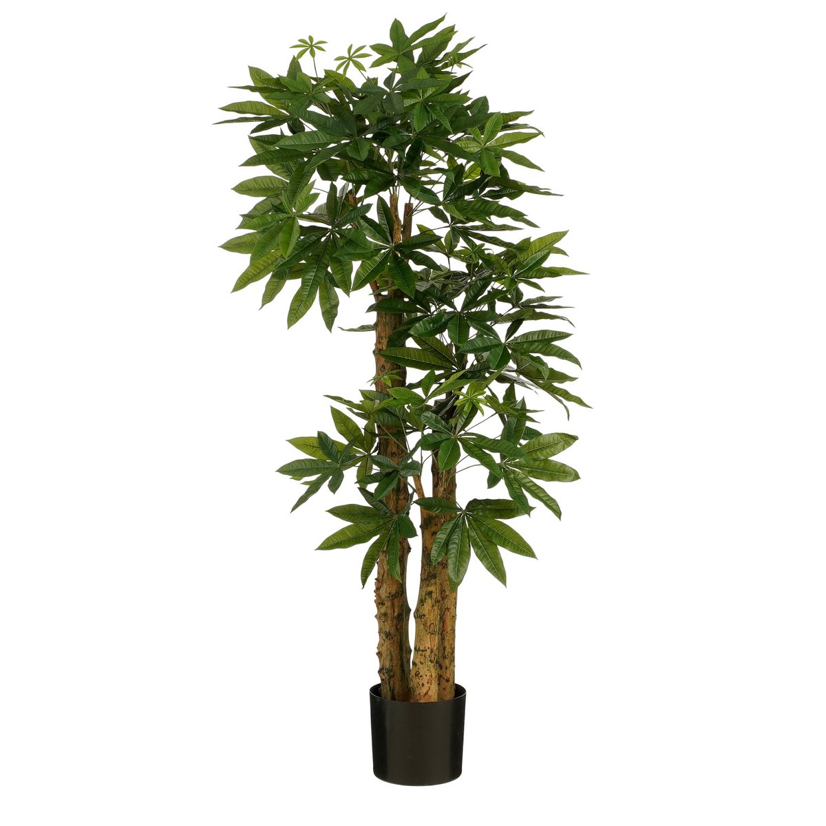 Künstliche Pflanze Pachira – H175 x Ø85 cm – Grün