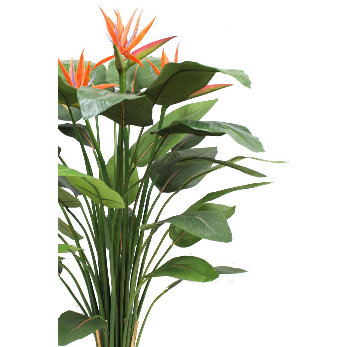 Strelitzia Kunstpflanze 120cm mit Blüte vorbestellen