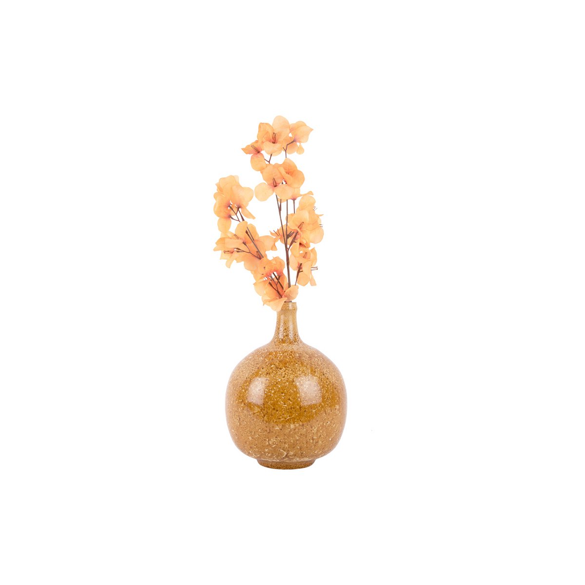Vase Spritzer Flasche