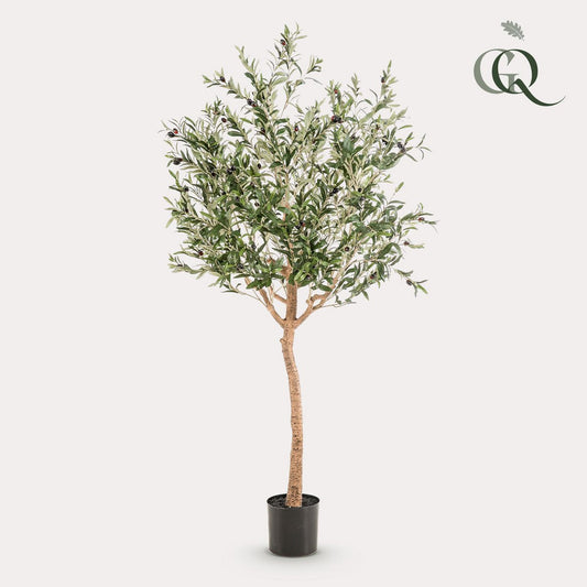 Künstlicher Olivenbaum - Olea europaea - Olivenbaum - 180 cm