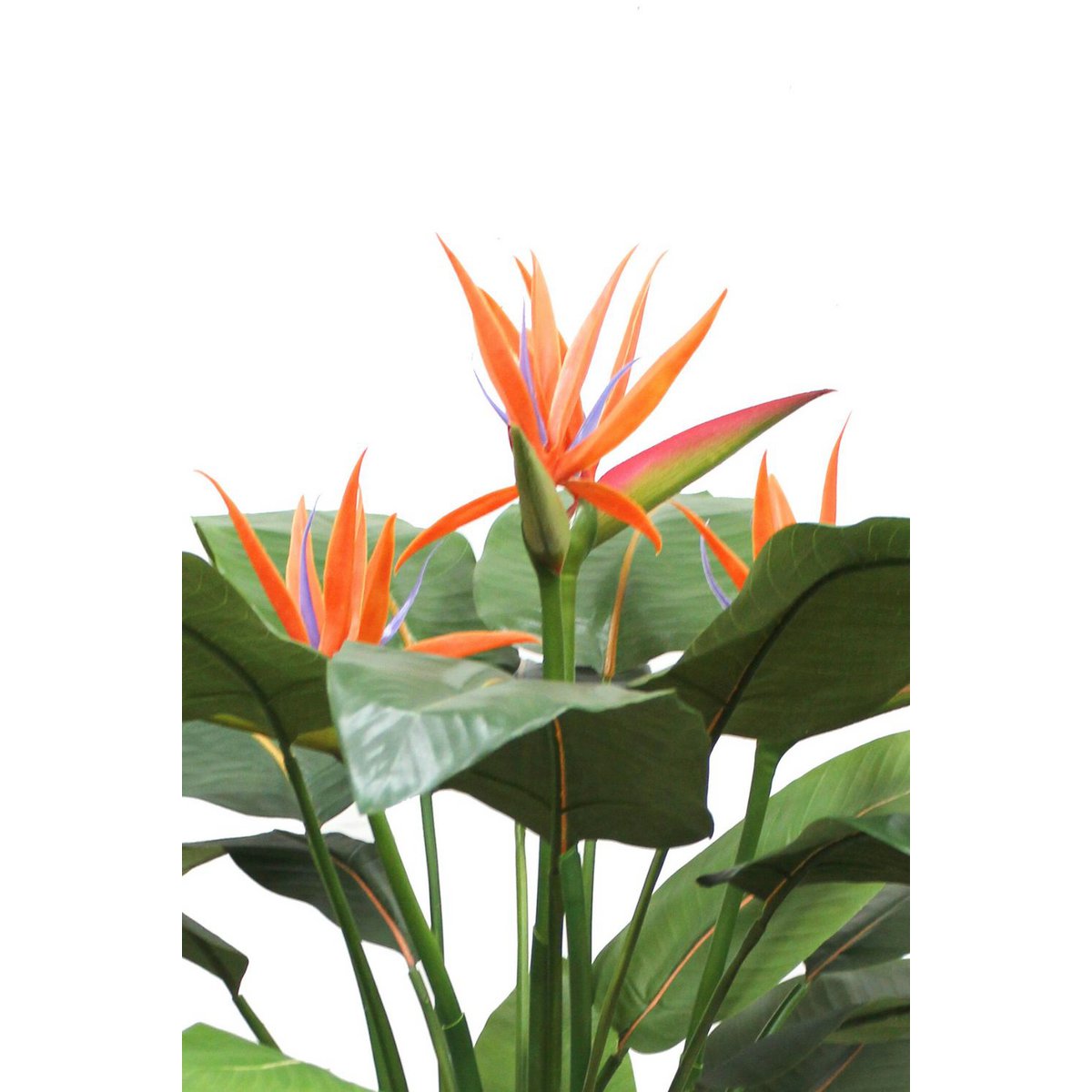 Strelitzia Kunstpflanze 120cm mit Blüte vorbestellen