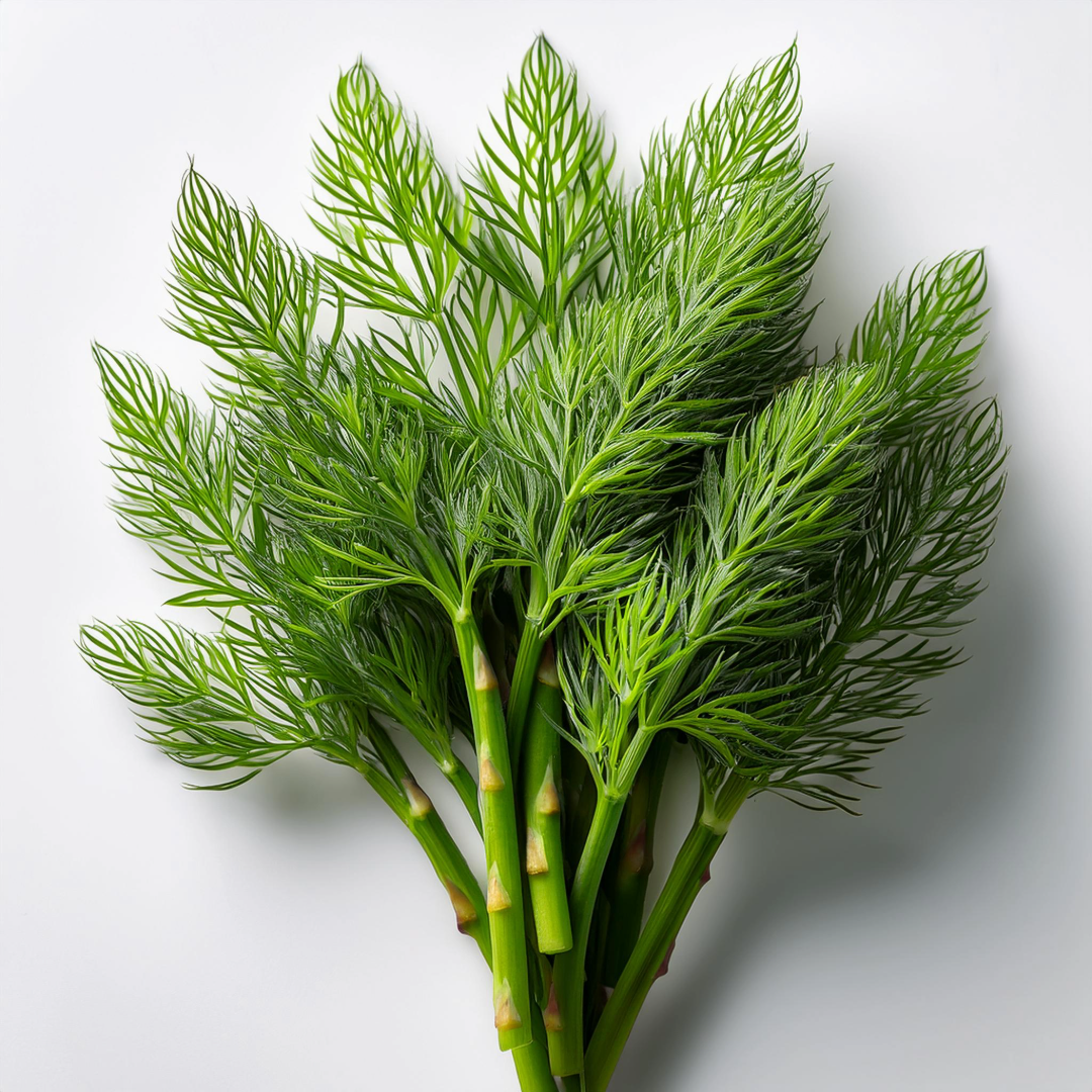 Asparagus Zewe - Classic Floral