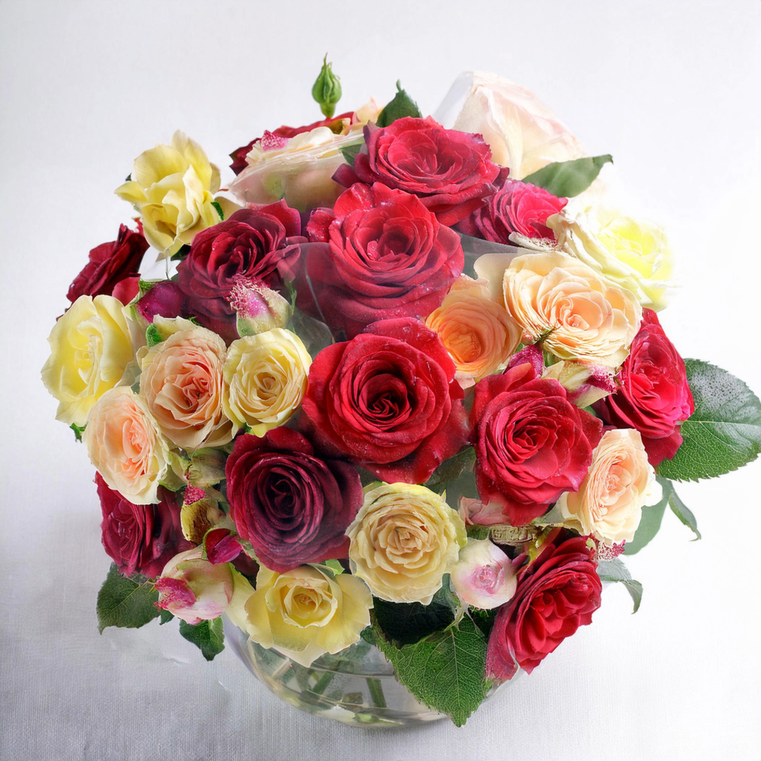 Rosenritter - Classic Floral