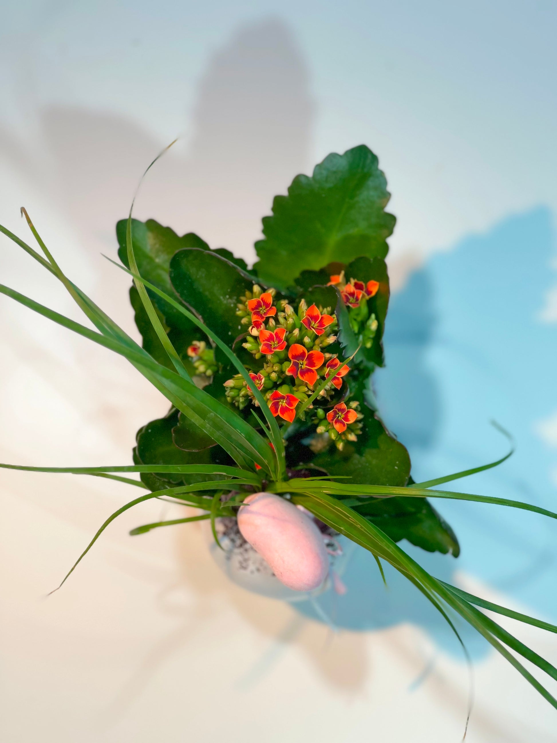 Sommerfreude Pflanzschale - Classic Floral