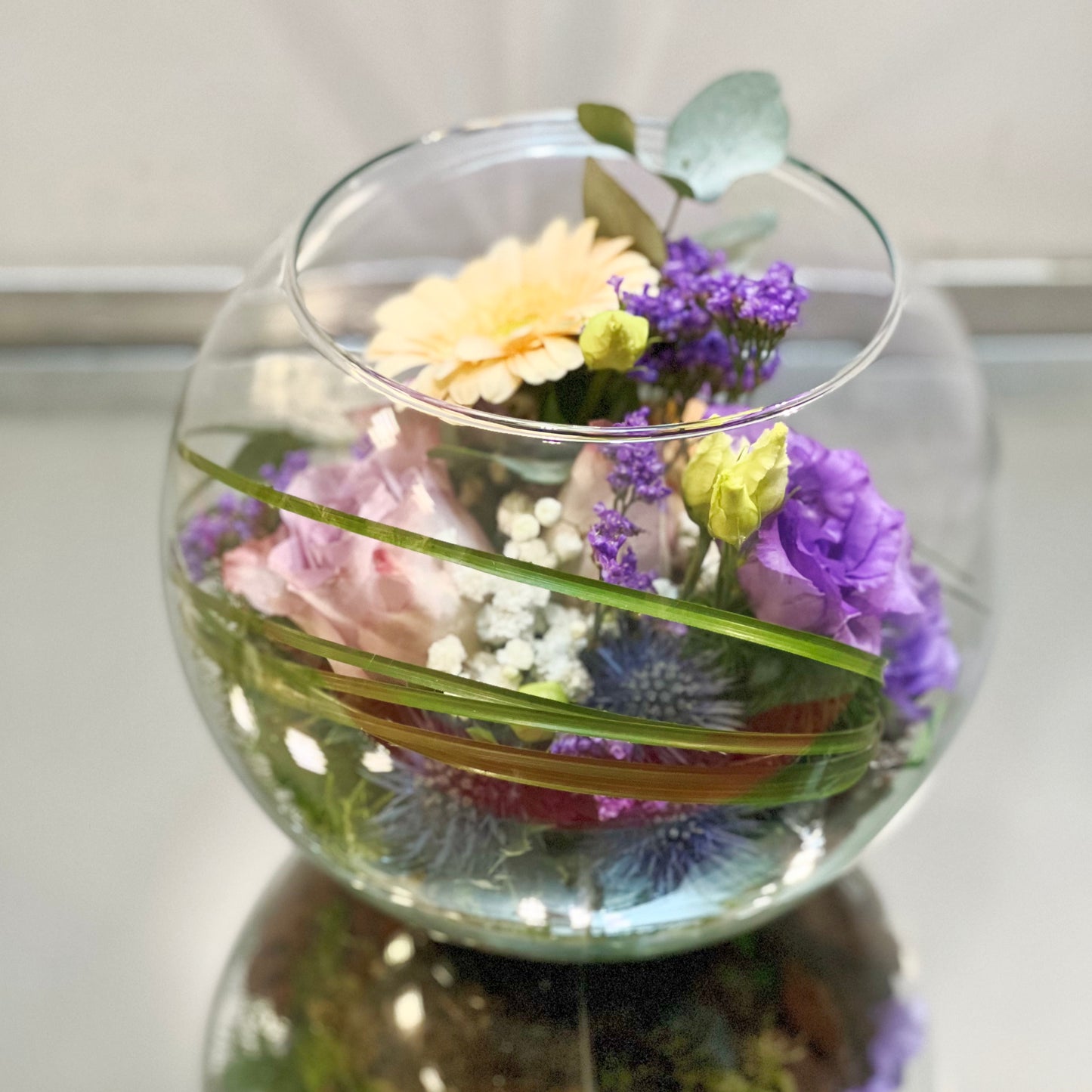 Terrarienblüte