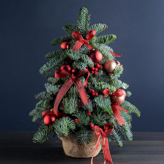 Roter Weihnachtszauber