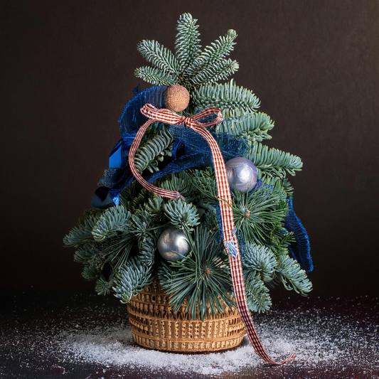 Tannenzauber im Körbchen