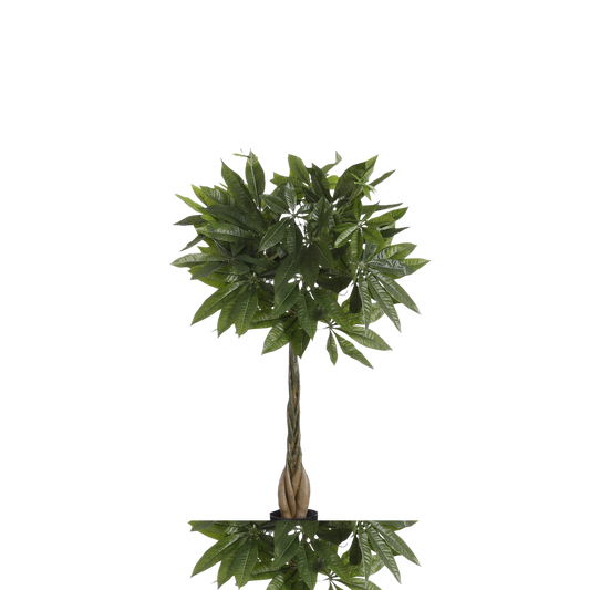 Kunstpflanze Pachira - H80 x Ø60 cm - Grün