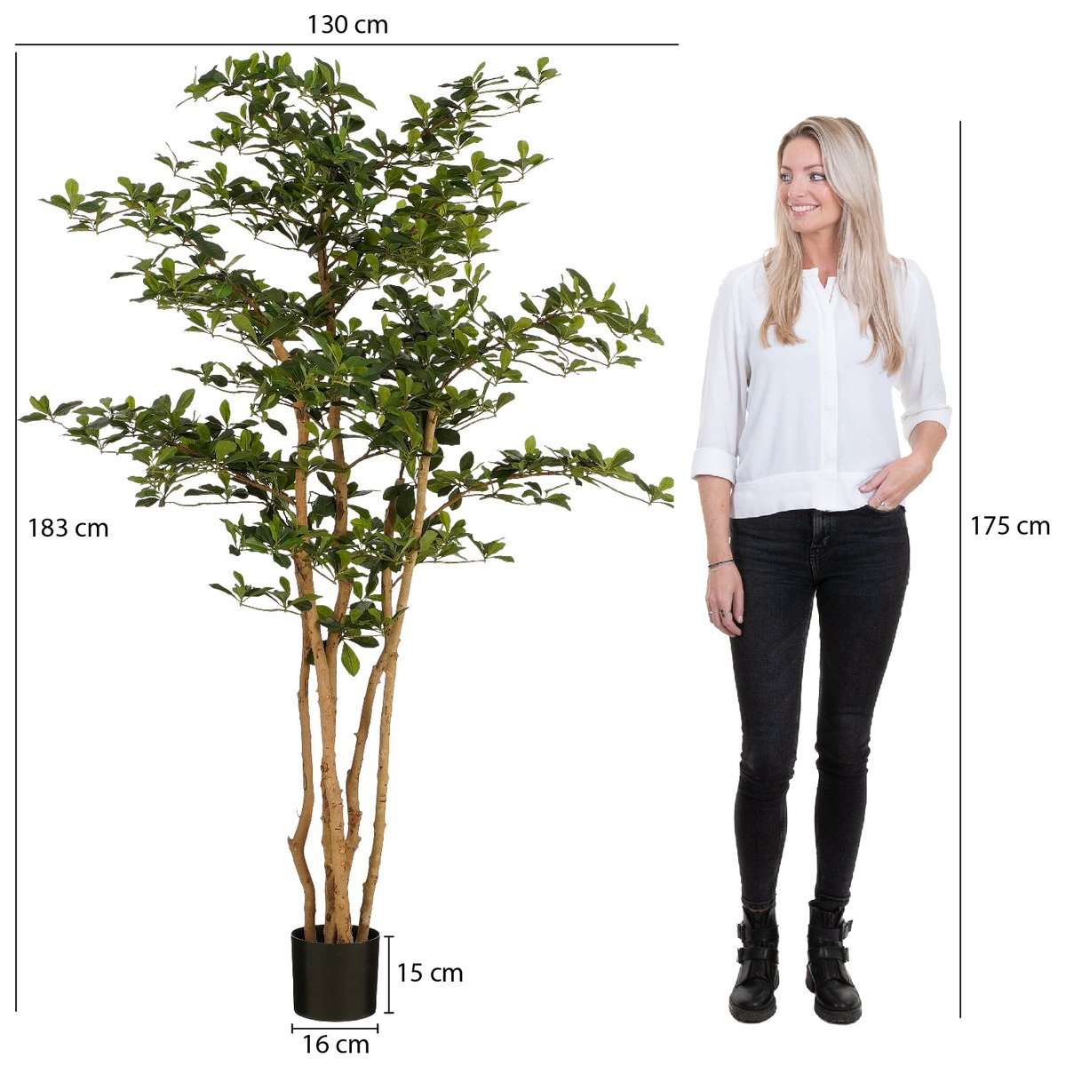 Künstliche Pflanze Olivenbaum im Topf – H183 x Ø130 cm – Grün