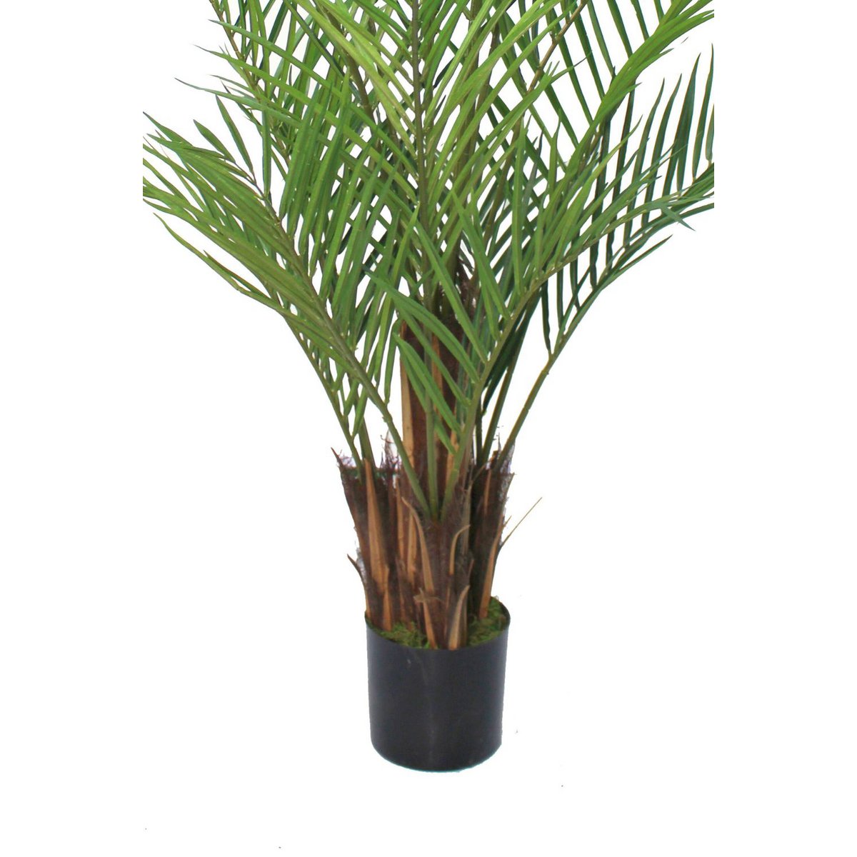 Künstliche Palme 180 cm vorbestellen