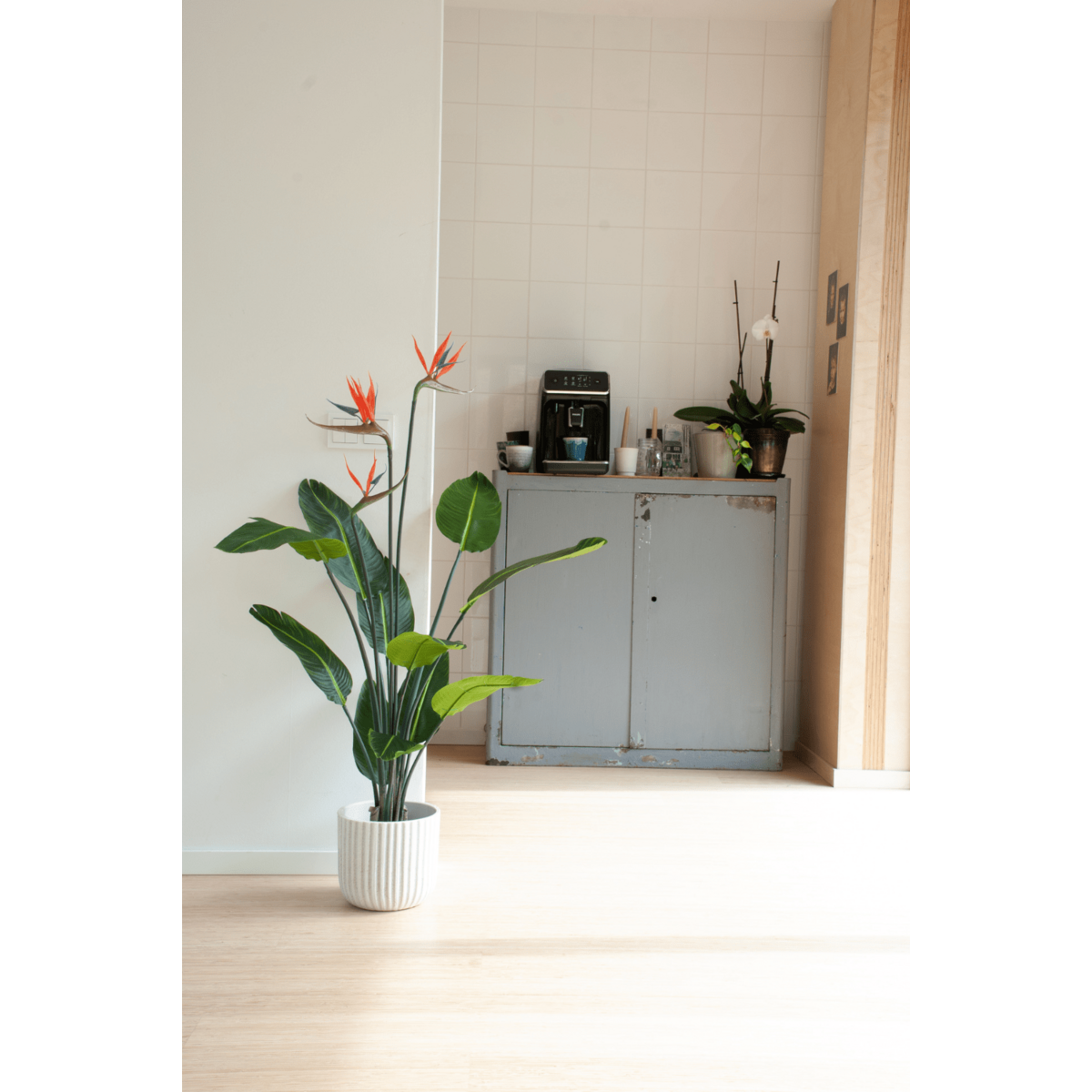 Strelitzia Kunstpflanze 120cm mit Blüte