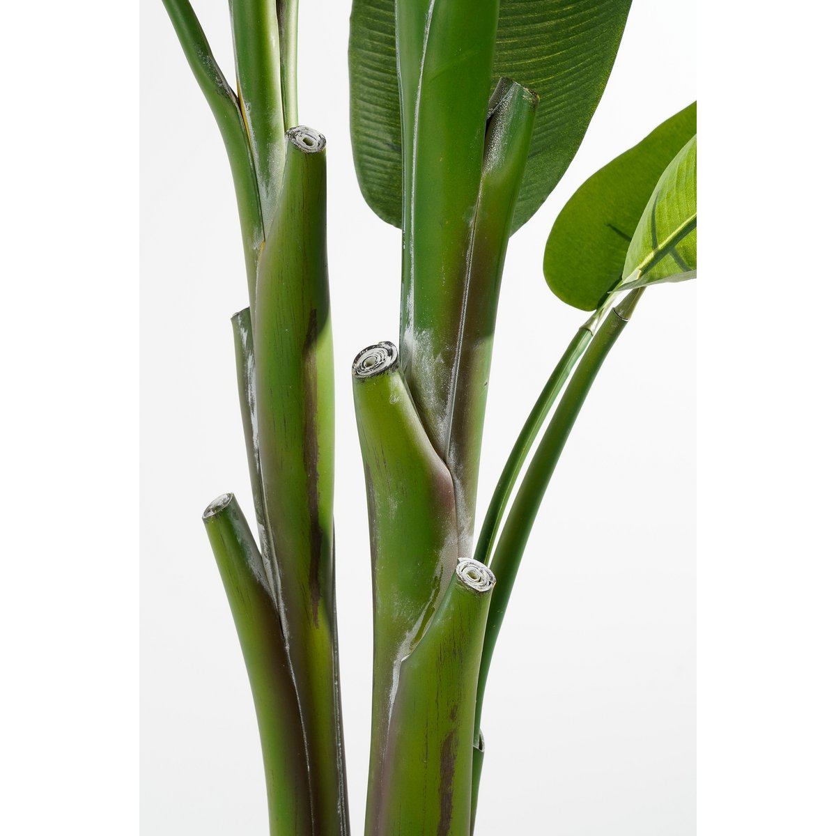 Künstliche Heliconia H175 cm XXL - Classic Floral