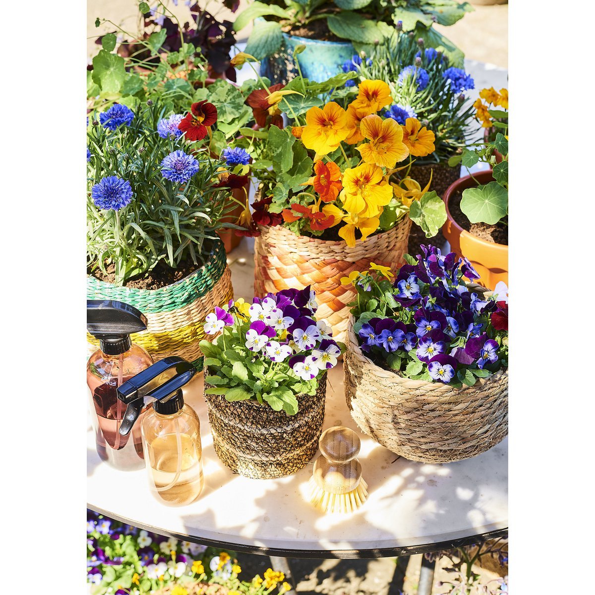 Jorck Pflanzkorb 3er-Set Seegras hellbraun - Classic Floral