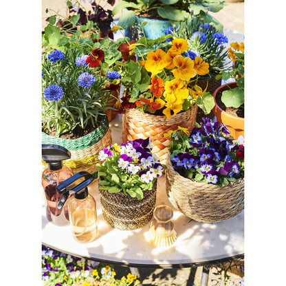 Jorck Pflanzkorb 3er-Set Seegras hellbraun - Classic Floral