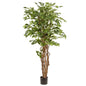 Ficus Liana Künstlicher Baum 170 cm - Classic Floral