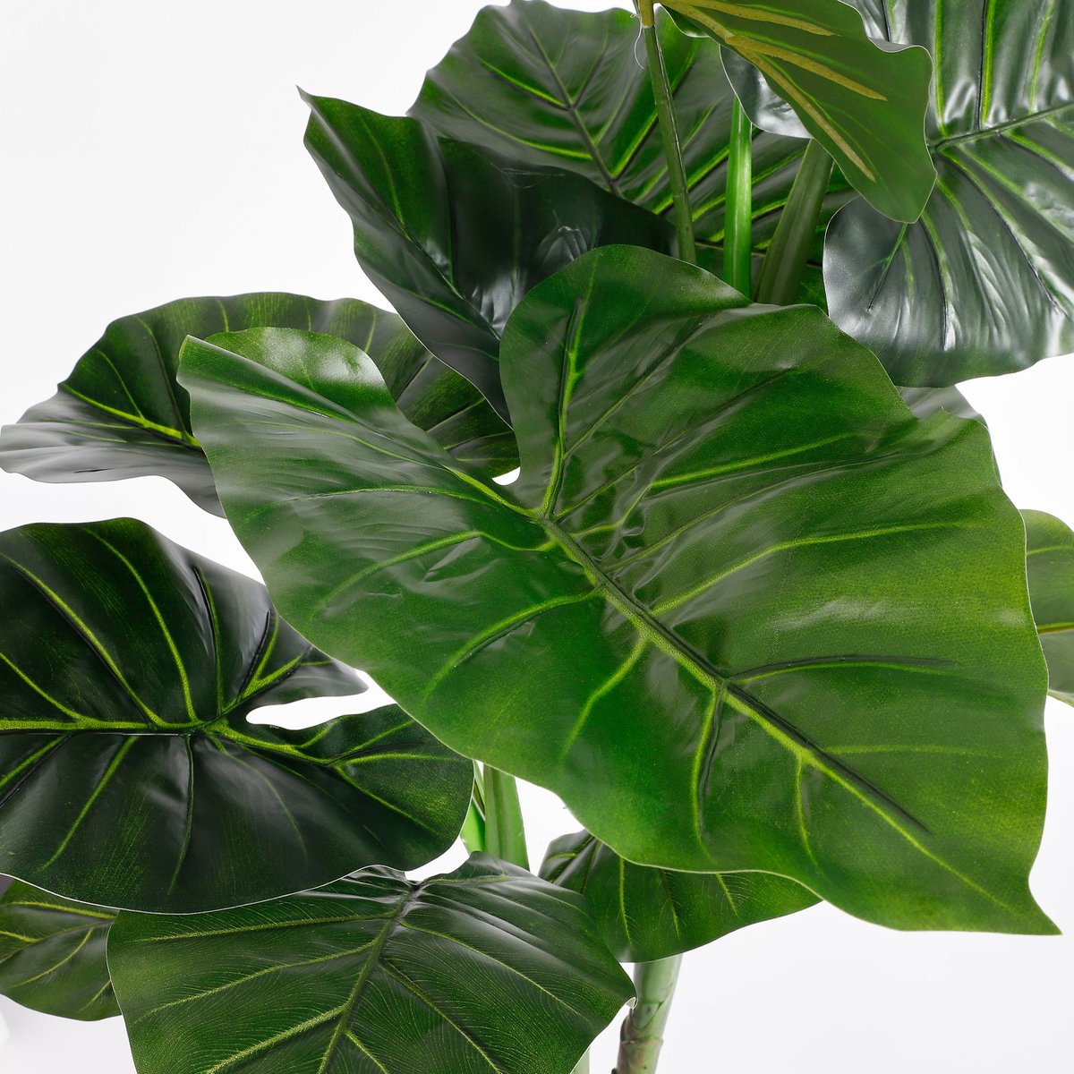 Künstliche Taro-Pflanze H100 cm - Classic Floral