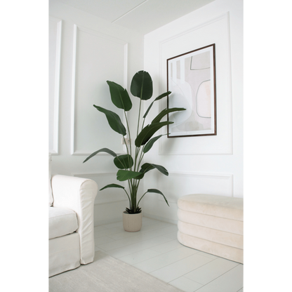 Künstliche Strelitzia-Pflanze 210 cm