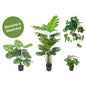 Monstera Madness Künstliches Pflanzenpaket - Classic Floral
