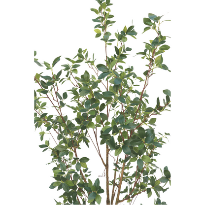Ficus Kunstpflanze 180cm