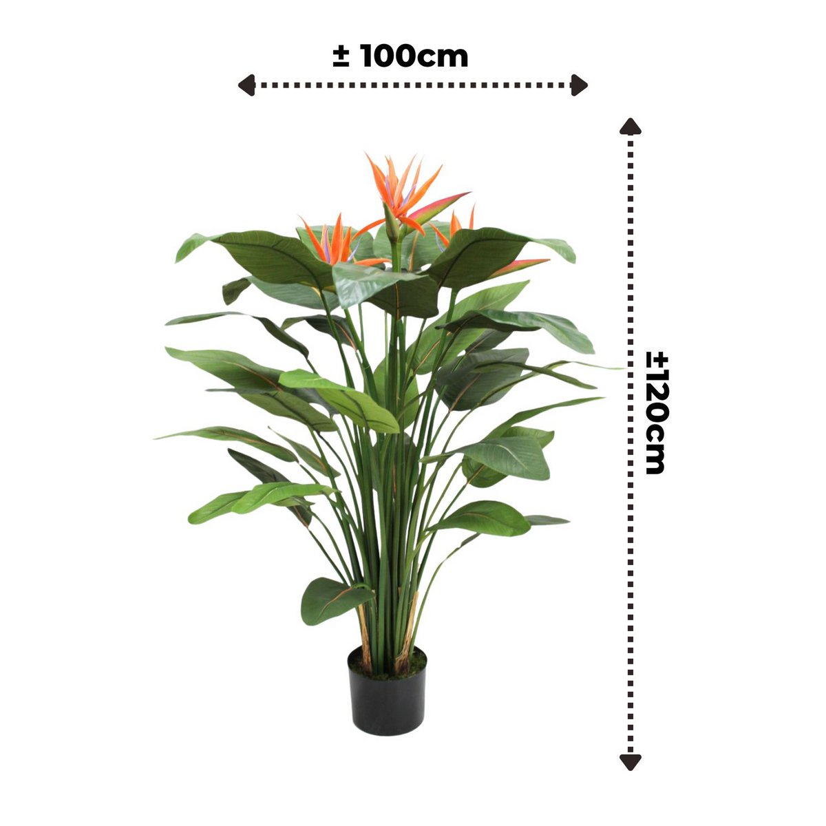 Strelitzia Kunstpflanze 120cm mit Blüte vorbestellen