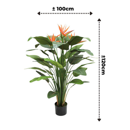 Strelitzia Kunstpflanze 120cm mit Blüte vorbestellen