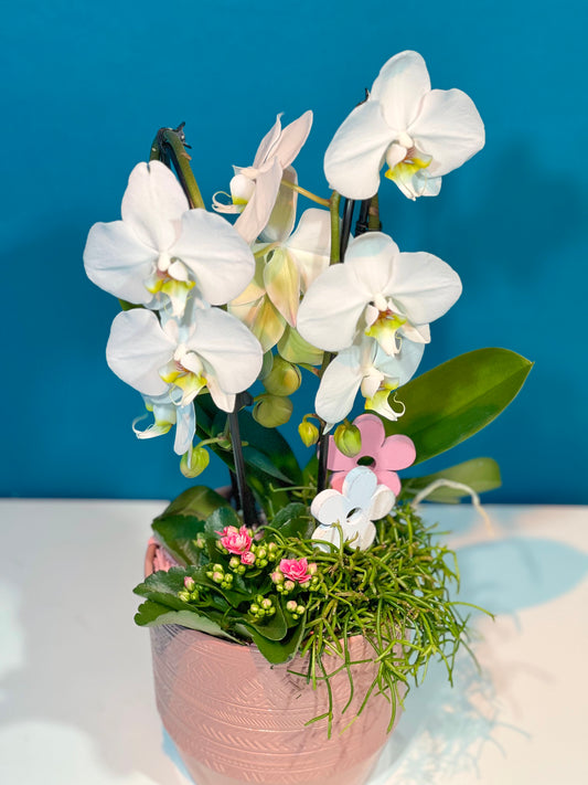 Frühlingsfreude Arrangement - Classic Floral