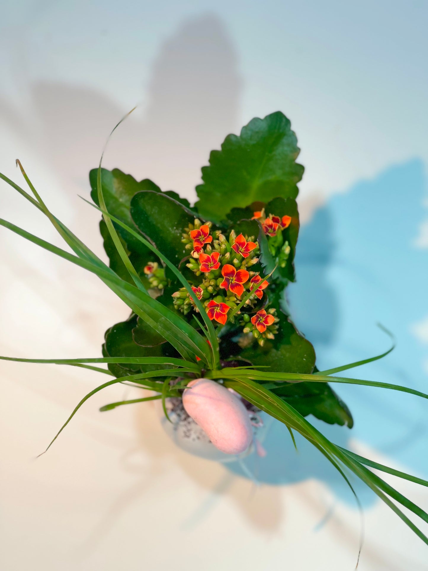 Herbstliches Blütenwunder - Classic Floral