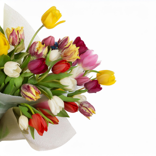 Tulpen Diverse - Classic Floral