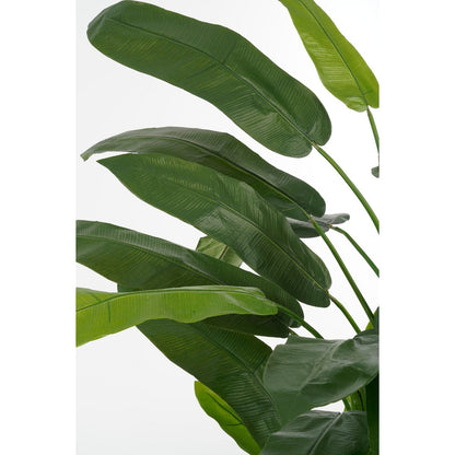 Künstliche Heliconia H175 cm XXL - Classic Floral