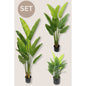 Strelitzia Kunstpflanzen-Set 3-teilig - Classic Floral