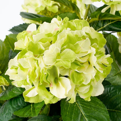 Künstliche Hortensienpflanze im Blumentopf Stan – H45 x Ø45 cm – Grün