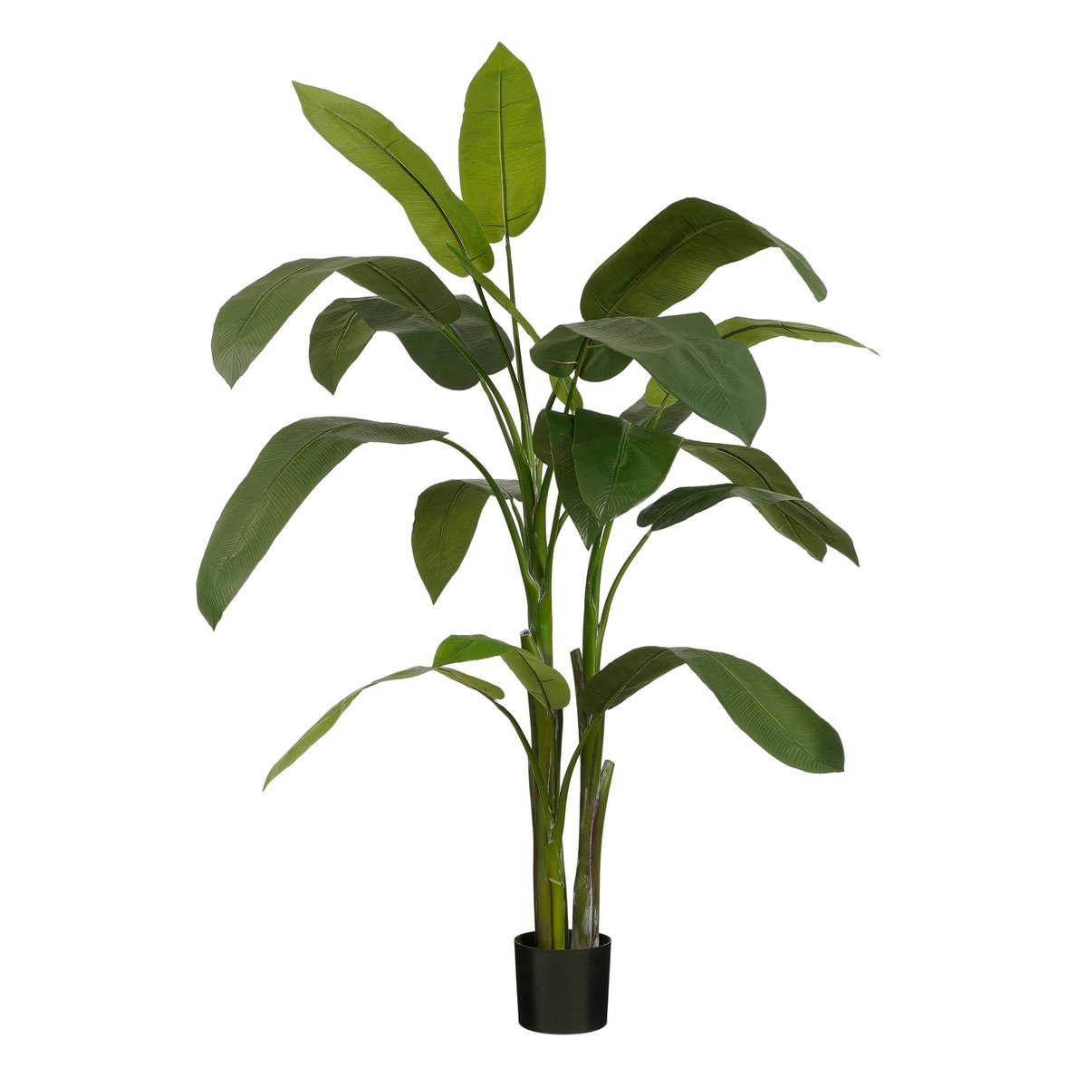 Künstliche Heliconia H175 cm XXL - Classic Floral