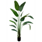 Künstliche Strelitzia-Pflanze 210 cm - Classic Floral