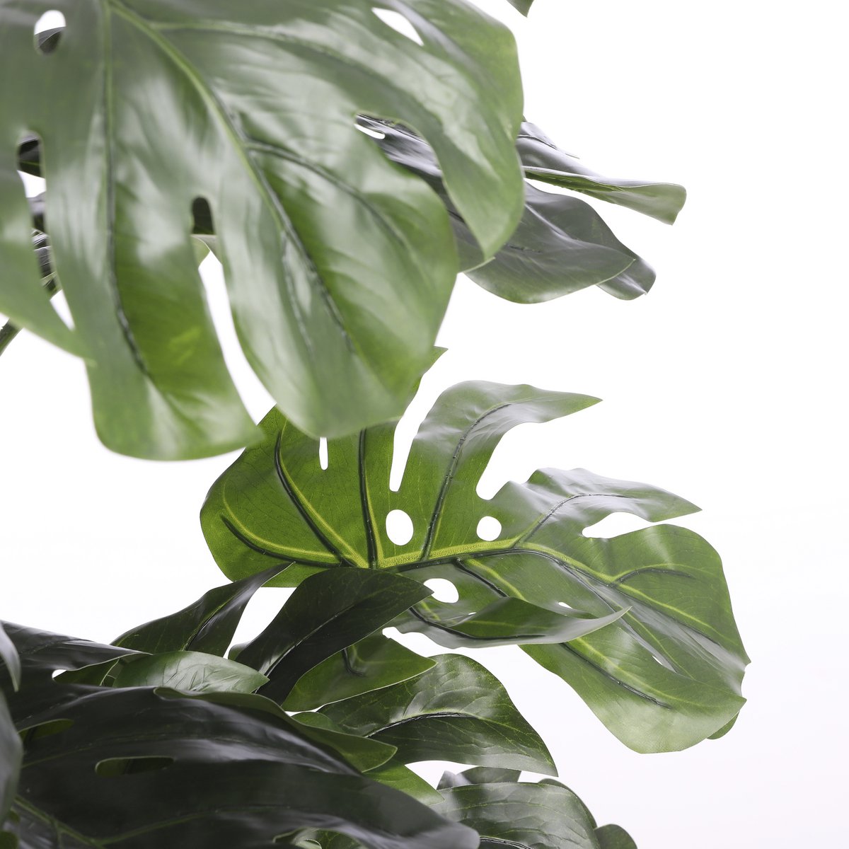 Künstliche Pflanze Monstera – H140 x Ø80 cm – Grün
