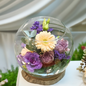 Terrarienblüte